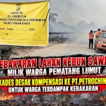 Kades Pahlawan Siregar Desak Kompensasi Untuk Lahan Warga Terdampak Kebakaran Di Kecamatan Betara